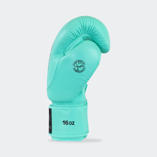 Combat CRNR HMIT Boxing Gloves - MINT